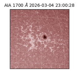 saia - 2026-03-04T23:00:28.709000