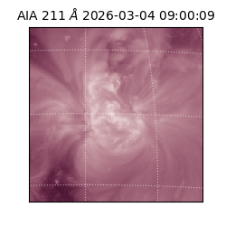 saia - 2026-03-04T09:00:09.629000