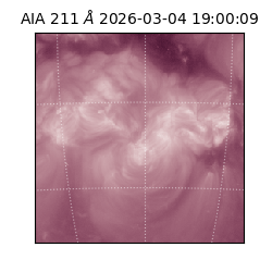 saia - 2026-03-04T19:00:09.630000