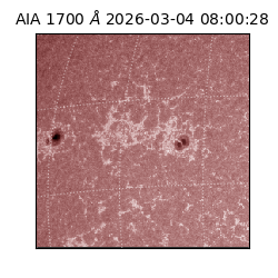 saia - 2026-03-04T08:00:28.709000