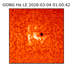 gong - 2026-03-04T01:00:42