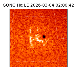 gong - 2026-03-04T02:00:42