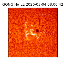 gong - 2026-03-04T08:00:42