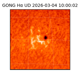 gong - 2026-03-04T10:00:02