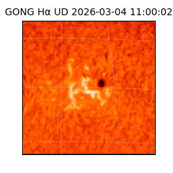 gong - 2026-03-04T11:00:02