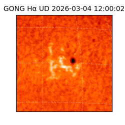 gong - 2026-03-04T12:00:02