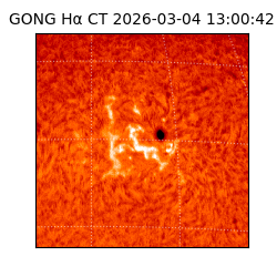 gong - 2026-03-04T13:00:42