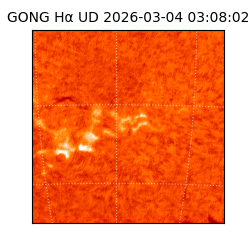 gong - 2026-03-04T03:08:02