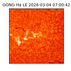 gong - 2026-03-04T07:00:42