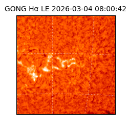 gong - 2026-03-04T08:00:42