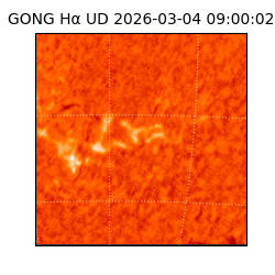 gong - 2026-03-04T09:00:02