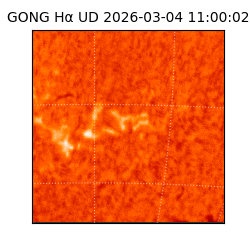 gong - 2026-03-04T11:00:02