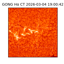 gong - 2026-03-04T19:00:42