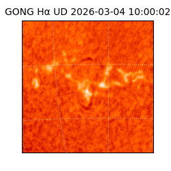 gong - 2026-03-04T10:00:02
