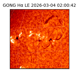 gong - 2026-03-04T02:00:42