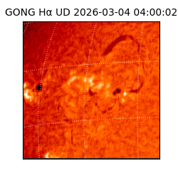 gong - 2026-03-04T04:00:02