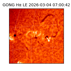 gong - 2026-03-04T07:00:42