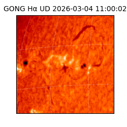 gong - 2026-03-04T11:00:02