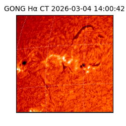 gong - 2026-03-04T14:00:42