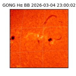 gong - 2026-03-04T23:00:02