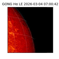 gong - 2026-03-04T07:00:42