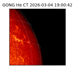 gong - 2026-03-04T19:00:42