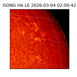 gong - 2026-03-04T02:00:42
