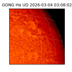 gong - 2026-03-04T03:08:02