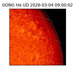 gong - 2026-03-04T09:00:02