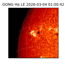gong - 2026-03-04T01:00:42