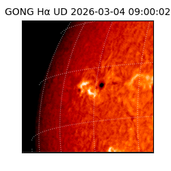 gong - 2026-03-04T09:00:02