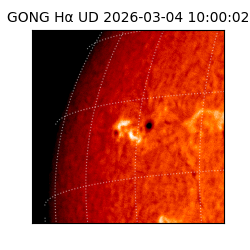 gong - 2026-03-04T10:00:02
