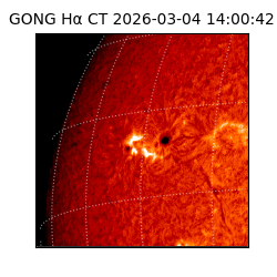 gong - 2026-03-04T14:00:42
