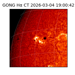 gong - 2026-03-04T19:00:42