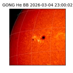 gong - 2026-03-04T23:00:02