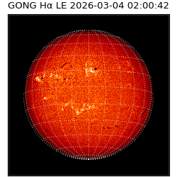 gong - 2026-03-04T02:00:42
