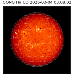 gong - 2026-03-04T03:08:02