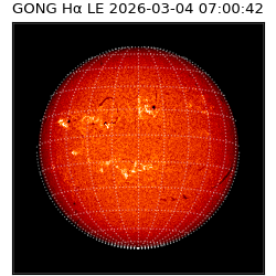 gong - 2026-03-04T07:00:42