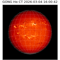 gong - 2026-03-04T16:00:42
