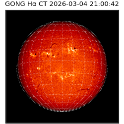 gong - 2026-03-04T21:00:42