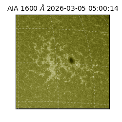 saia - 2026-03-05T05:00:14.125000