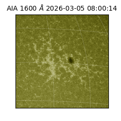 saia - 2026-03-05T08:00:14.118000