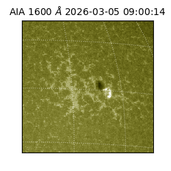 saia - 2026-03-05T09:00:14.117000