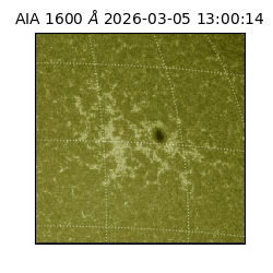 saia - 2026-03-05T13:00:14.126000