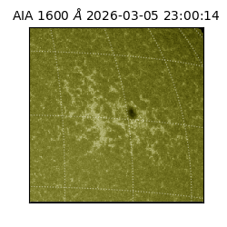 saia - 2026-03-05T23:00:14.125000