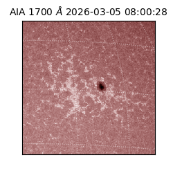 saia - 2026-03-05T08:00:28.717000