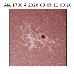 saia - 2026-03-05T11:00:28.717000