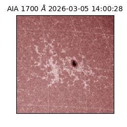 saia - 2026-03-05T14:00:28.717000