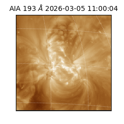 saia - 2026-03-05T11:00:04.843000