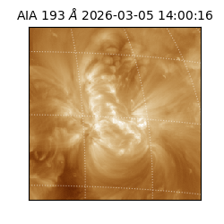 saia - 2026-03-05T14:00:16.838000